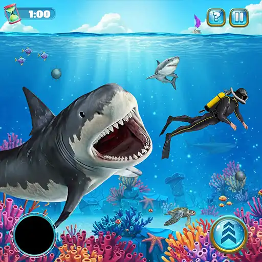 Hungary Shark Attack